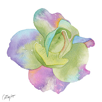 Aquarelle fleur, peinture, fleur, vert, rose, bleu, orange, fusions aquarelles, grosse fleur 